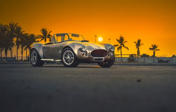 Picture Shelby, Car, Classic, Amazing, Front, Sunset, Cobra, Old