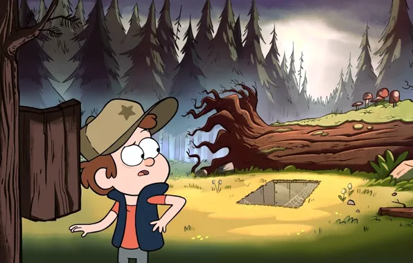 Picture Forest, Gravity Falls, Gravity Falls, Dipper
