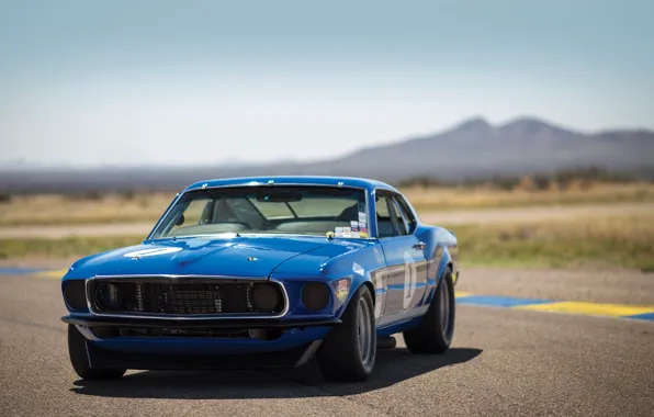 Picture blue, speed, Mustang, Ford, Muscle, 1969, Car, Race, car, Classic, classic, legend, Blue, Musclecar, 302, …