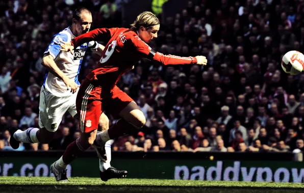 Picture sport, sport, Fernando Torres, Liverpool, fernando torres, football clubs