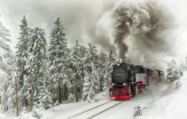 Picture winter, snow, trees, smoke, rails, train, the engine, ate, composition