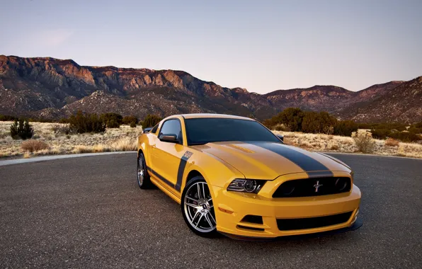 Picture car, Ford, ford mustang, rechange, boss 302