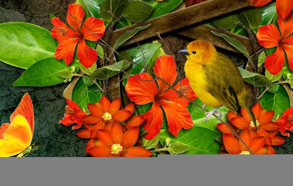 Picture flowers, collage, bird, butterfly