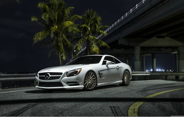 Picture car, palm trees, Mercedes, white, SL550