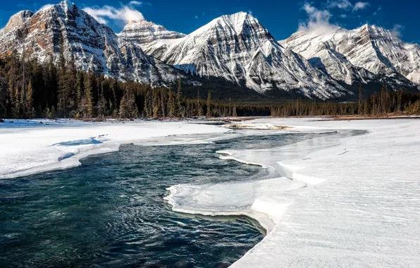Picture ice, winter, forest, snow, mountains, river, Canada, Alberta, Jasper National Park