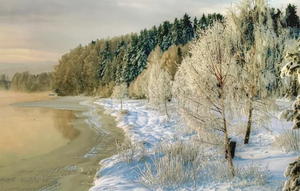 Picture winter, snow, trees, nature, river, photo, coast