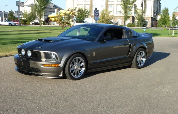 Picture Mustang, Ford, Eleanor, Ford Mustang, Musclecar, Ford Mustang GT