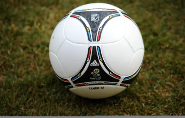 Picture grass, football, the ball, icon, logo, logo, emblem, Adidas, Adidas, ball, euro 2012, Euro 2012, …