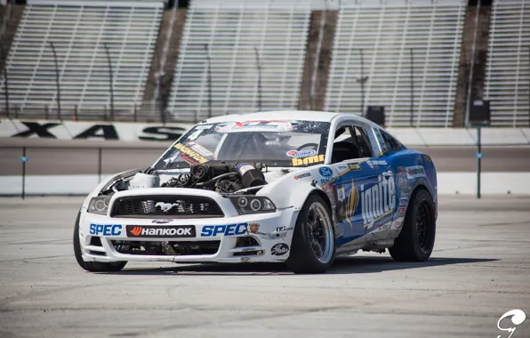 Picture Mustang, Ford, Ford, Mustang, Formula D