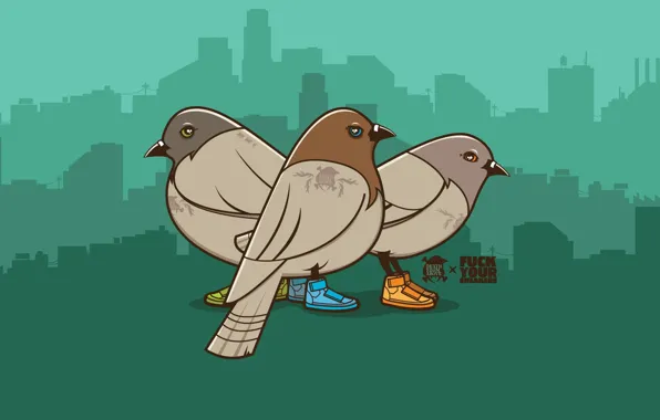 Picture sneakers, vector, Pigeons