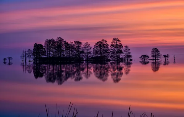 Picture the sky, trees, sunset, lake, reflection, the evening, USA, North Carolina