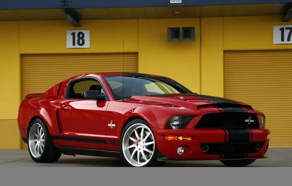 Picture mustang, ford, shelby, gt500, super snake