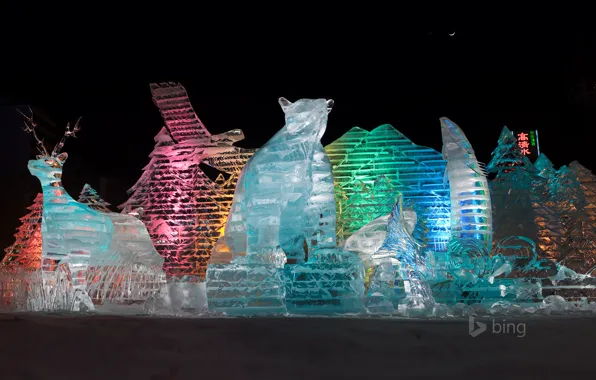 Picture light, night, color, Japan, Sapporo, ice sculptures, Winter Festival