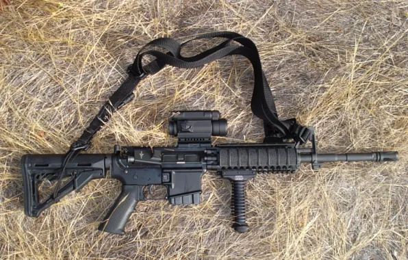 Picture grass, weapons, gun, strap, ar15