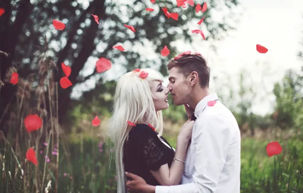 Picture kiss, the bride, rose petals, wedding, the groom