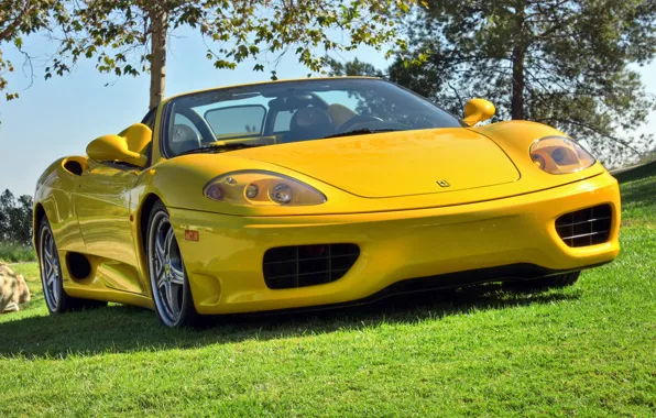 Picture yellow, convertible, Ferrari, 360, yellow, spider, Spider, Ferrari 360