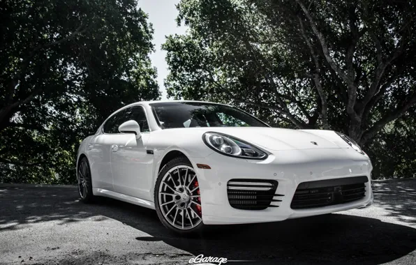 Picture Porsche, Panamera, white, egarage