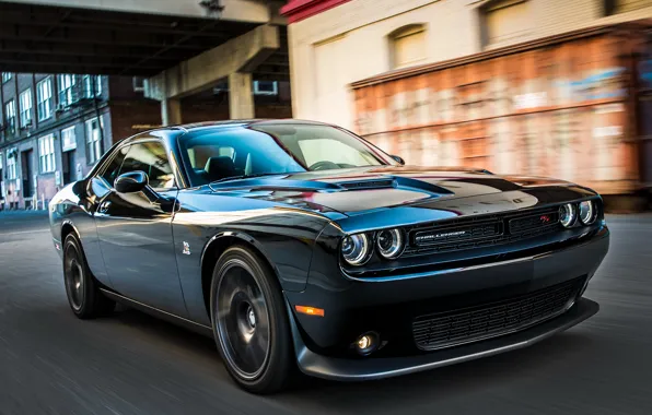 Picture Dodge, Challenger, 2015