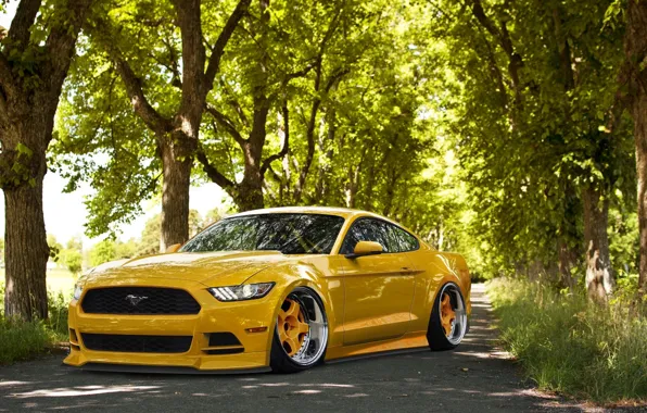 Picture Mustang, Ford, Front, Yellow, Tuning, Stance, Wheels, 2015