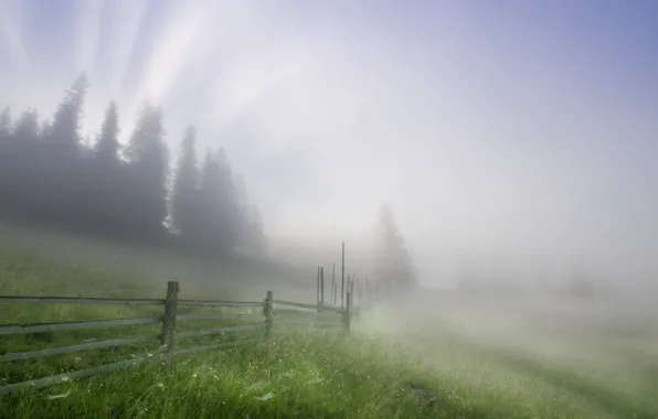 Picture landscape, fog, the fence