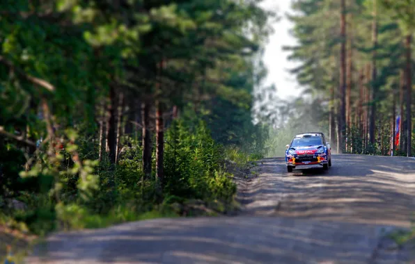Picture Trees, Forest, Speed, Race, Citroen, DS3, WRC, Rally, Flies, tilt- shift