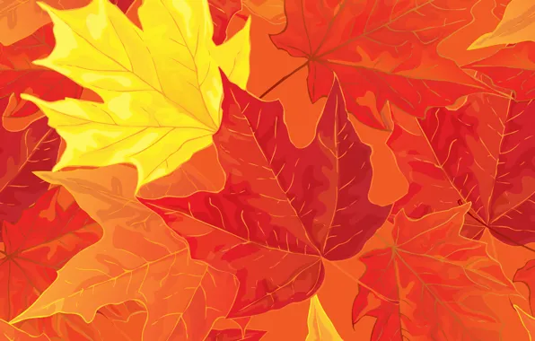 Picture leaves, background, autumn, leaves, autumn, fall, maple