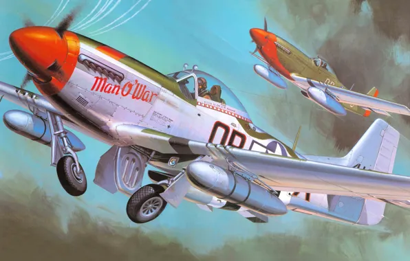 Picture the plane, fighter, art, action, American, North American, P-51 Mustang, WW2., single, far, radius
