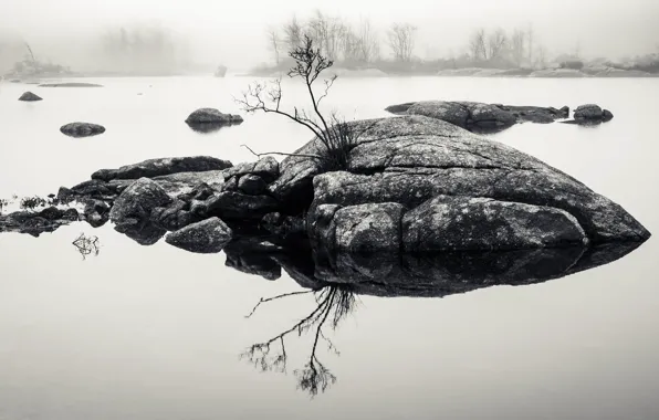 Picture rock, water, lake, fog, reflection