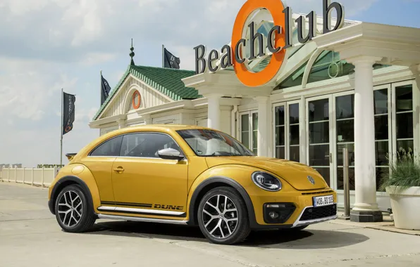 Picture beetle, Volkswagen, Volkswagen, Beetle