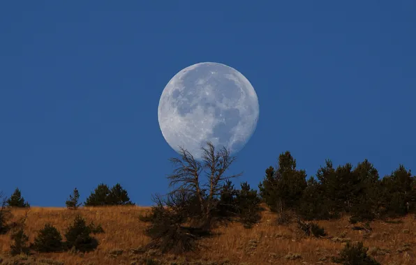 Picture moon, sky, blue, hill, countryside, full moon