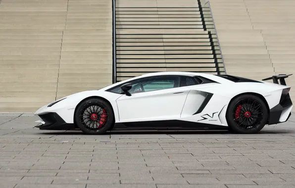 Picture Lamborghini, White, Aventador, Superveloce