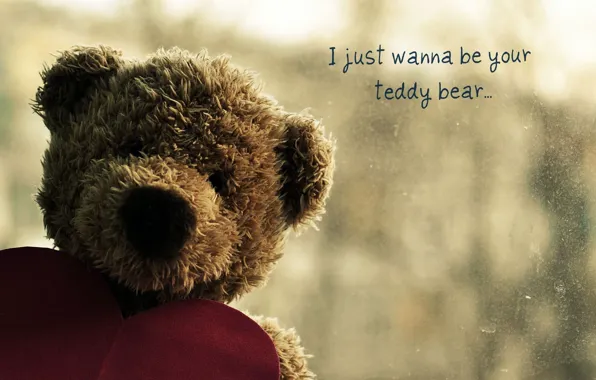 Picture sadness, love, heart, bear, bear, bear, plush, heart, bear, Teddy, teddy