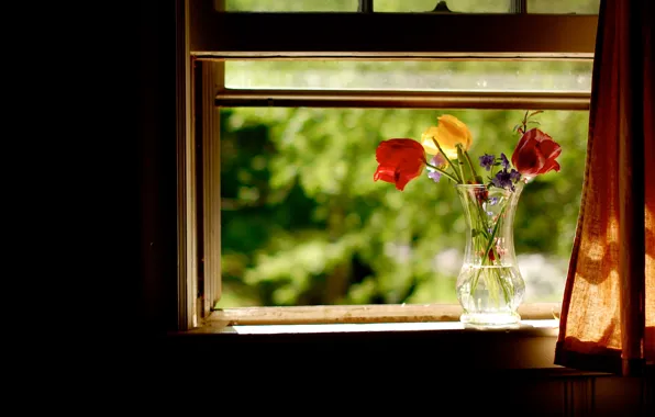Picture summer, flowers, window