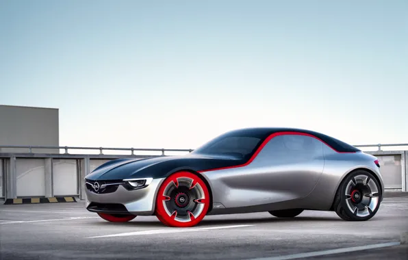 Picture Concept, the concept, Opel, Opel
