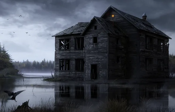 Picture water, light, birds, house, swamp, wooden, ruins, crow, gloom