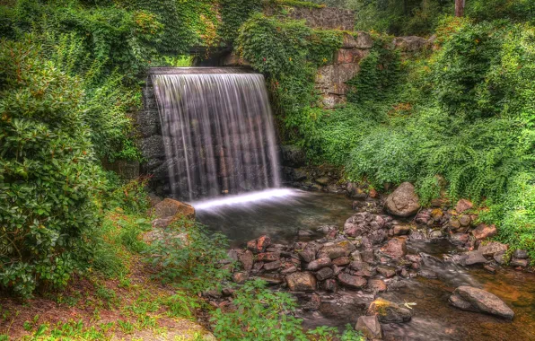 Picture forest, trees, Park, stones, waterfall, stream, hdr