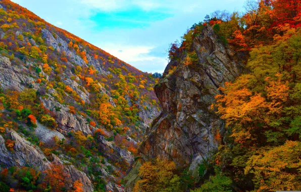 Picture autumn, trees, mountains, nature, rocks, colors, Nature, trees, landscape, autumn, mountain, fall