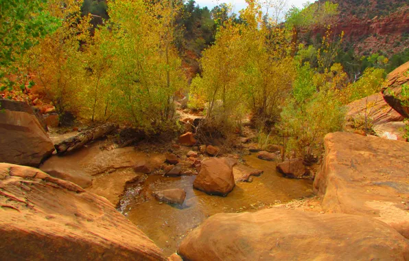Picture autumn, trees, river, stream, stones, rocks