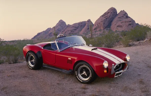 Picture canyon, cacti, red, 1968, Shelby Cobra, Shelby Cobra