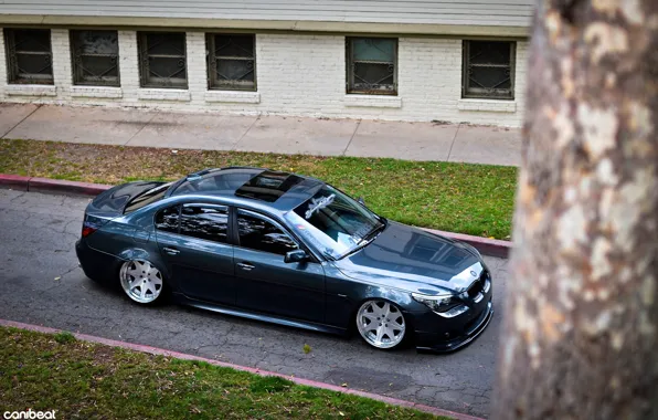 Picture BMW, tuning, E60, canibeat, 528i