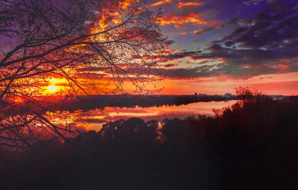 Picture water, the sun, trees, landscape, sunset, branches, the city, river