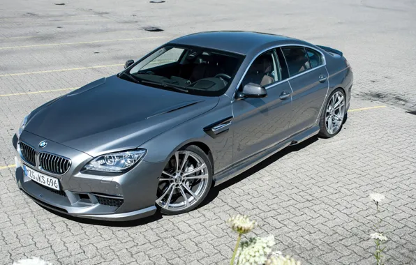 Picture grey, drives, BMW 6-Series