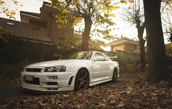 Picture white, nissan, turbo, white, wheels, skyline, japan, Nissan, jdm, tuning, gtr, front, r34, face, low, …