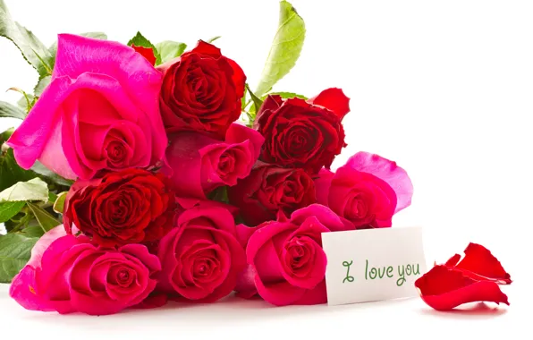 Picture mood, holiday, Roses, March 8, i love you