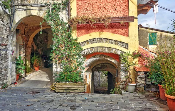 Picture flowers, house, plants, Italy, arch, Vezzano Ligure