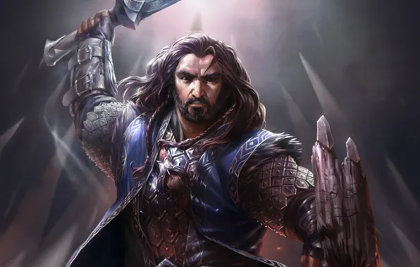 Picture weapons, warrior, the Lord of the rings, art, shield, dwarf, lord of the rings, Thorin