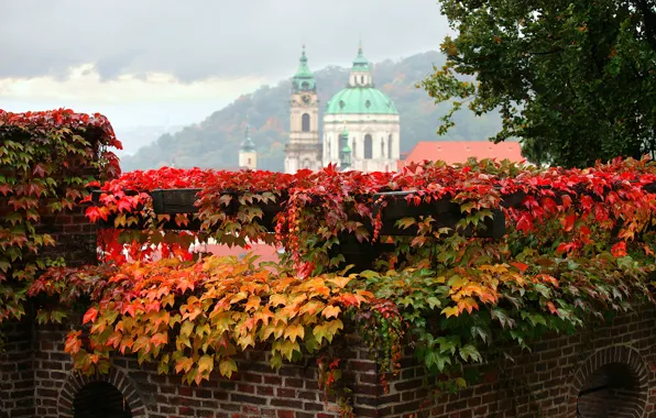 Picture autumn, leaves, the city, Prague