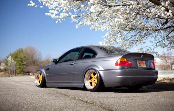 Picture BMW, BMW, Drives, E46, 3 series, Stance
