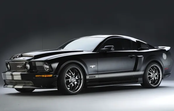 Picture Mustang, Ford, Mustang, Ford, 2009, Black Widow