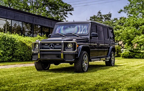 Picture Mercedes-Benz, Mercedes, AMG, g, G-Class, W463, Inkas